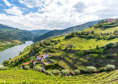 Portugal paysage Douro vigne