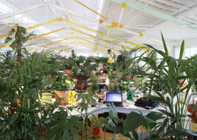 Portugal Lisbonne Coworking (1)