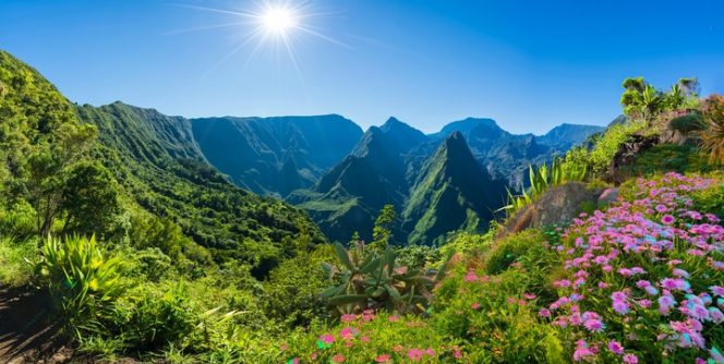 Réunion Mafate paysage soleil plantes fleurs Voyage à La Réunion : le paysage de Mafate