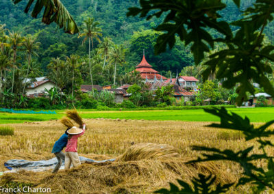 Indonésie Sumatra Bukittinggi Angek village