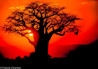 Tanzanie coucher de soleil rouge