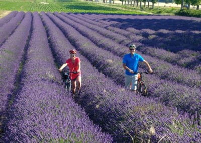 France ViaRhona champ de lavande © Jean-Claude Praire