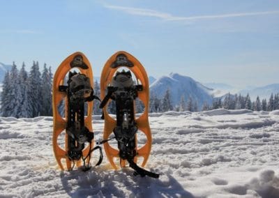 Raquettes neige