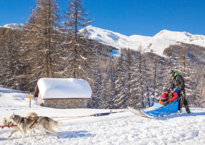 Traineaux chiens montagne