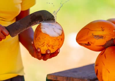 Asie Sri Lanka noix de coco couteau @AnnaOm