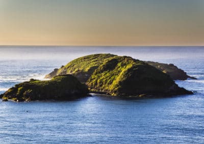Amérique Patagonie Chiloe île des Pingouins