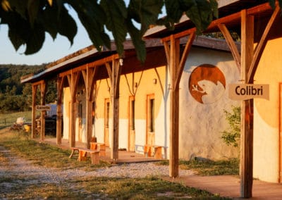 France Drôme Les Amanins colibri