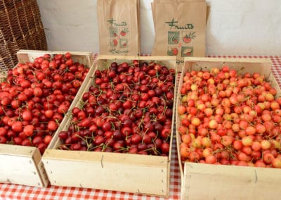 Cerises fruits stand