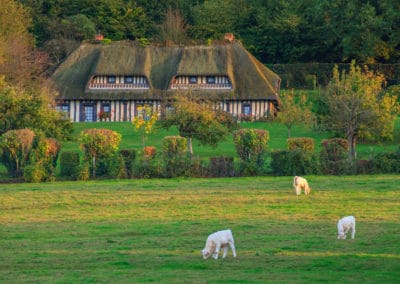 France Normandie Vernier Marais maison vaches