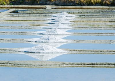 France Pays de la Loire Guérande Sel