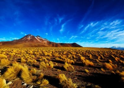 Amérique Pérou Désert d'Atacama