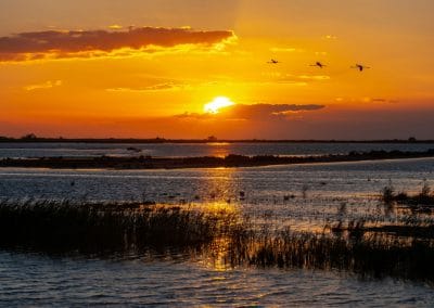 Camargue coucher de soleil