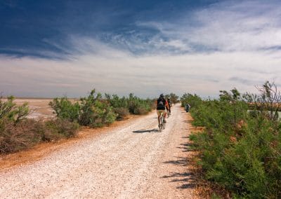 vélo en Camargue