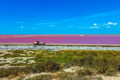 Pink,Salt,Water,Bay.,Salt,Production,On,The,Seashore.,Camargue, Salins Camarges