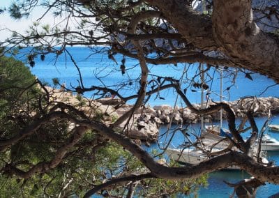 Randonnée dans les Calanques de Marseille, un joyau à découvrir à pied