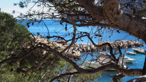 OLYMPUS DIGITAL CAMERA Randonnée dans les Calanques de Marseille, un joyau à découvrir à pied