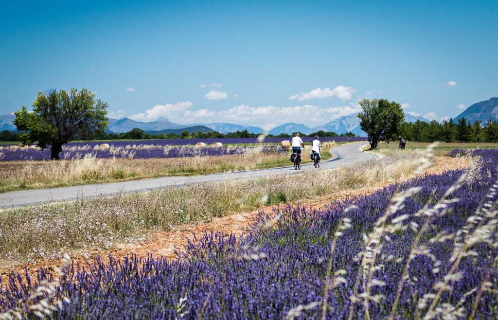 Vélo dans le pays du Ventoux en Provence
