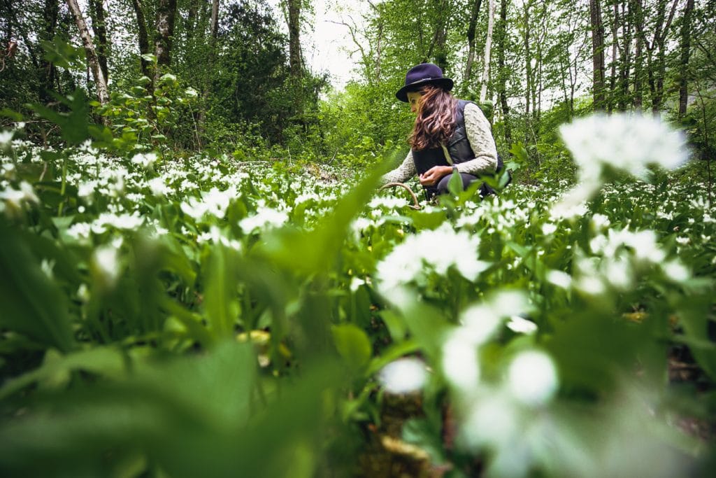 En pleine nature, quand écoresponsabilité rime avec découverte...