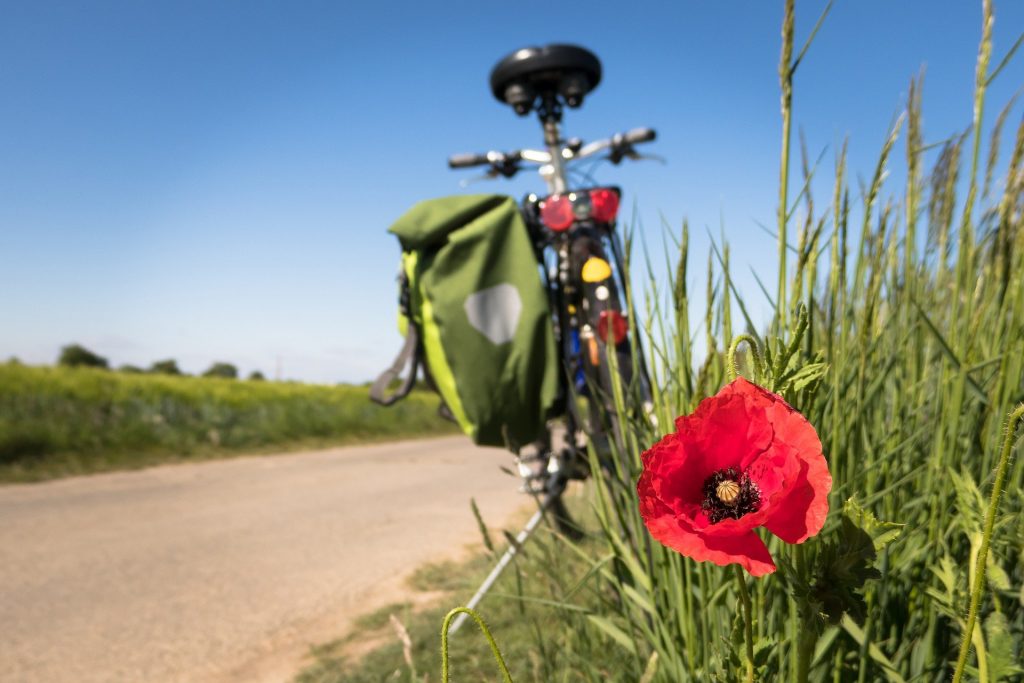 À vélo pour découvrir les boucles de la Seine