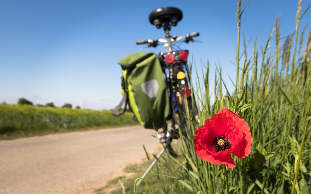 La Seine à vélo : une échappée en mode doux au fil de l’eau