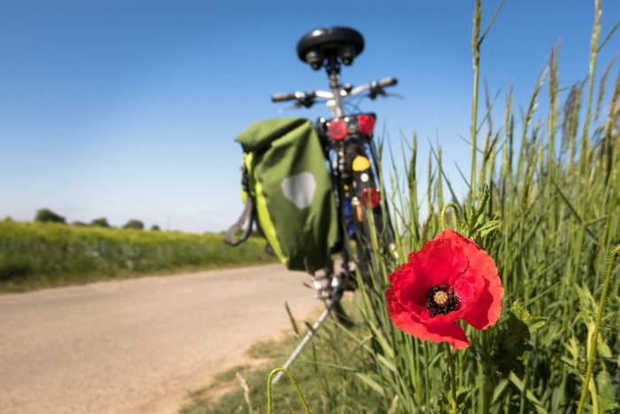 À vélo pour découvrir les boucles de la Seine