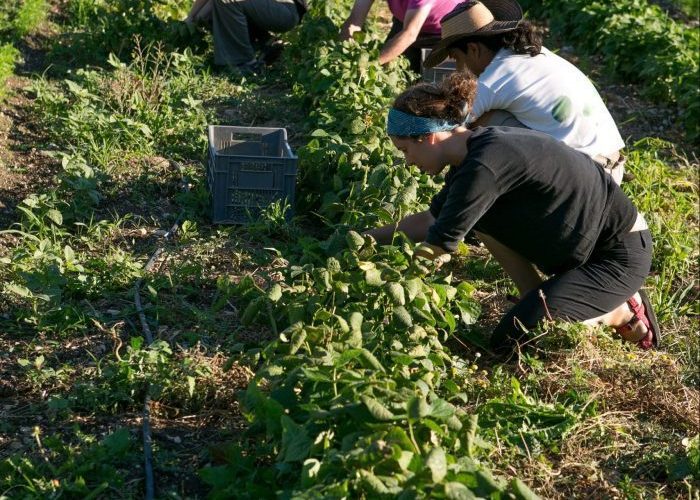 FRANCE_DROME_LES-AMANINS-1-scaled