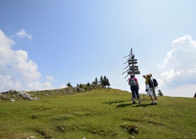 Velika Planina Alpes Juiennes, Slovenie