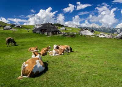 Village de bergers de Velika Planina, Slovenie