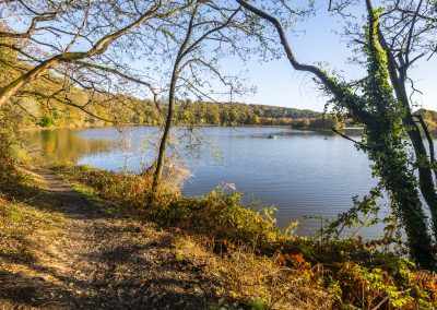 Lac du Jaunay en Vendée, Côte Atlantique, France