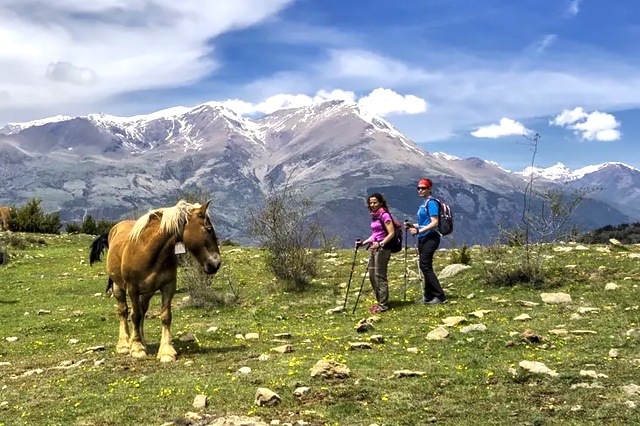 vignette-post-catalogne